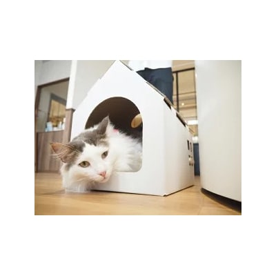 キャッツプレイハウス&専用つめと10枚