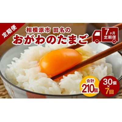 【7ヶ月定期便】【毎月後半発送】相模原市田名のおがわのたまご Mサイズ30個(27個+割れ補償3個)