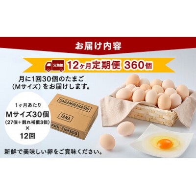 【12ヶ月定期便】【毎月後半発送】相模原市田名のおがわのたまごMサイズ30個(27個+割れ補償3個)