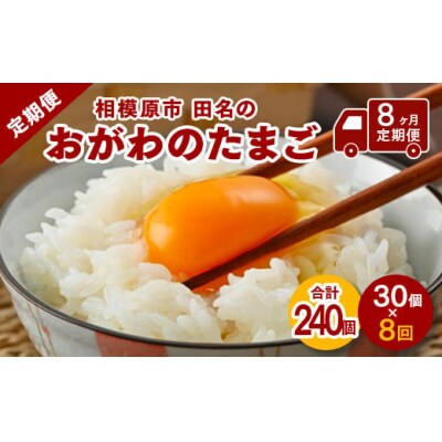 【8ヶ月定期便】【毎月前半発送】相模原市田名のおがわのたまご Mサイズ30個(27個+割れ補償3個)