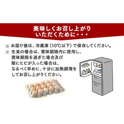 【8ヶ月定期便】【毎月前半発送】相模原市田名のおがわのたまご Mサイズ30個(27個+割れ補償3個)