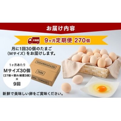 【9ヶ月定期便】【毎月後半発送】相模原市田名のおがわのたまごMサイズ 30個(27個+割れ補償3個)