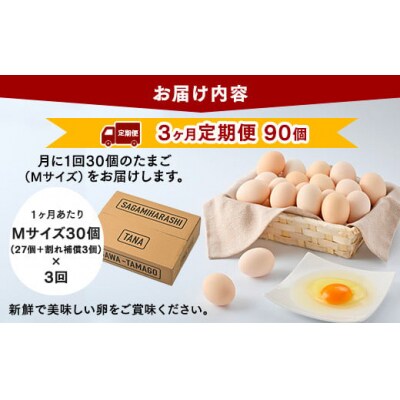 【3ヶ月定期便】【毎月後半発送】相模原市田名のおがわのたまご Mサイズ30個(27個+割れ補償3個)