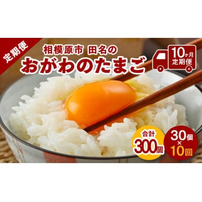 【10ヶ月定期便】【毎月後半発送】相模原市田名のおがわのたまごMサイズ30個(27個+割れ補償3個)