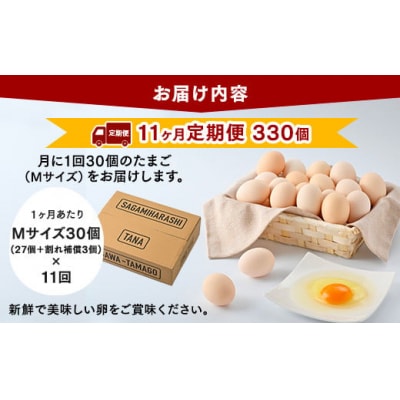 【11ヶ月定期便】【毎月前半発送】相模原市田名のおがわのたまごMサイズ30個(27個+割れ補償3個)