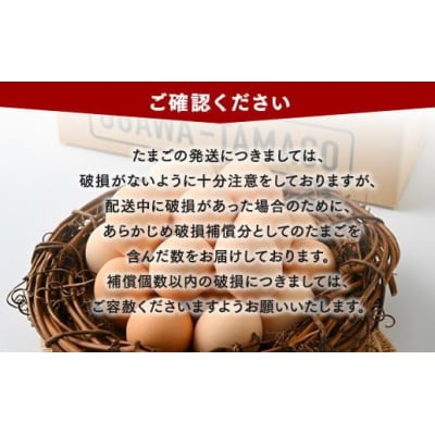 【4ヶ月定期便】【毎月後半発送】相模原市田名のおがわのたまごMサイズ 30個(27個+割れ補償3個)