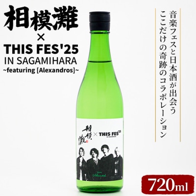 相模灘 × THIS FES '25 in Sagamihara