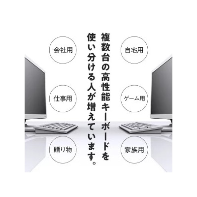東プレ REALFORCE RC1 コンパクトキーボード 英語配列 30g(型式:C1HK23)