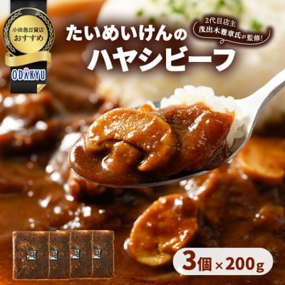 ≪小田急百貨店おすすめ≫「たいめいけん」ハヤシビーフ 200g×3個