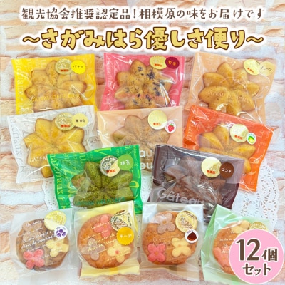 〜さがみはら優しさ便り〜12個セット