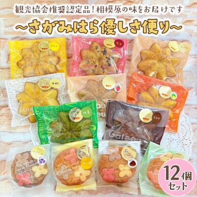 ～さがみはら優しさ便り～12個セット