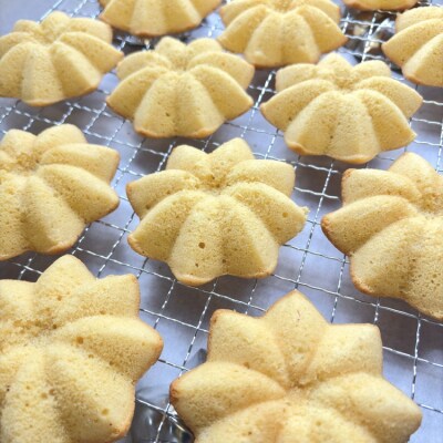 ～さがみはら優しさ便り～12個セット