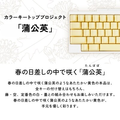 HHKBキートップセット(蒲公英)英語配列/無刻印 PD-KB400KTLYN