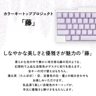HHKBキートップセット(藤)英語配列/無刻印 PD-KB400KTLPN