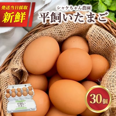 シャケちゃん農園の平飼い卵 30個 | 新鮮 鶏卵 玉子 たまご 生卵 ※離島への配送不可