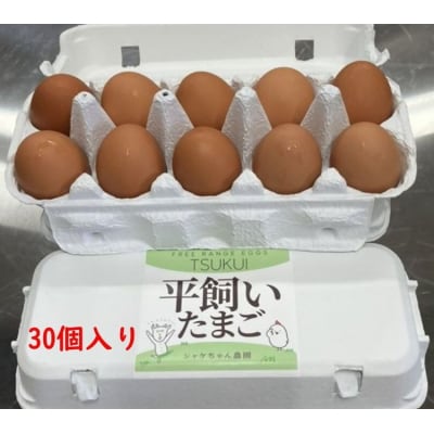 シャケちゃん農園の平飼い卵 30個 | 新鮮 鶏卵 玉子 たまご 生卵 ※離島への配送不可