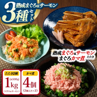 【県水の熟成まぐろ】漁師作りプレミアム、熟成サーモンたたき、まぐろカマ煮詰め合わせセット