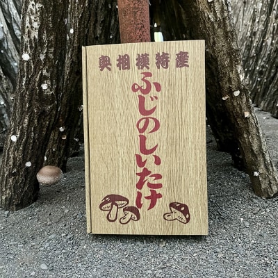 希少な原木栽培 肉厚 ふじのしいたけ 1kg ※2025年12月上旬～2026年4月上旬頃までに発送