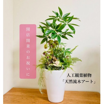 人工観葉植物 天然流木アート『パキラ/陶器』