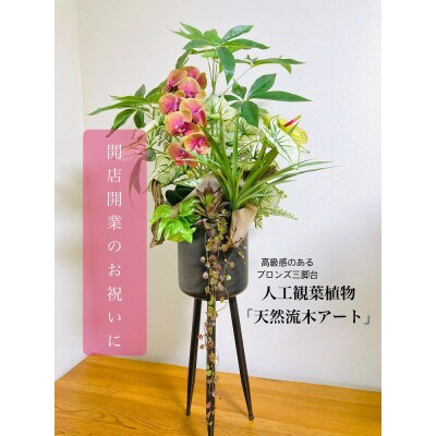 人工観葉植物 天然流木アート『パキラ』