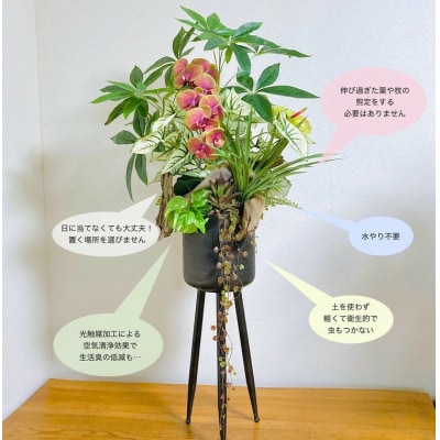 人工観葉植物 天然流木アート『パキラ』