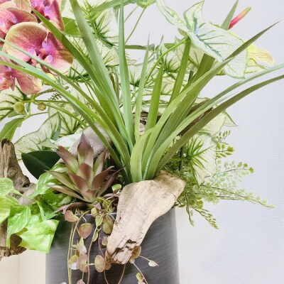 人工観葉植物 天然流木アート『パキラ』