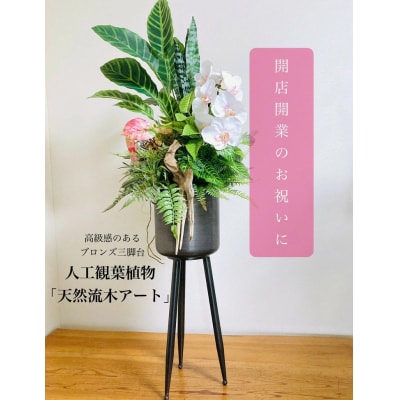 人工観葉植物 天然流木アート『カラティア』
