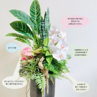 人工観葉植物 天然流木アート『カラティア』