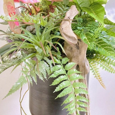 人工観葉植物 天然流木アート『カラティア』