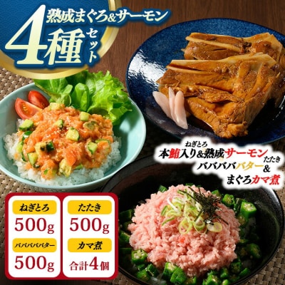 県水の熟成まぐろ 熟成本鮪入りねぎとろ、熟成サーモンたたき、バババババター、まぐろカマ煮詰め合わせ
