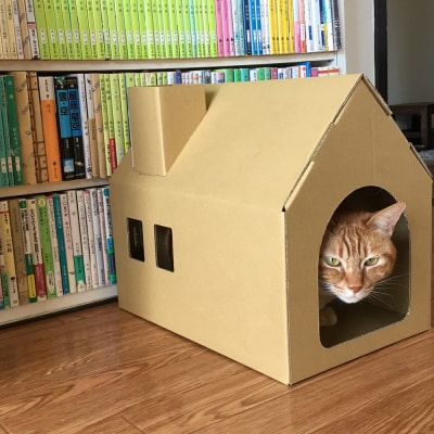 【クラフト地】キャッツプレイハウス&専用つめとぎ10枚セット