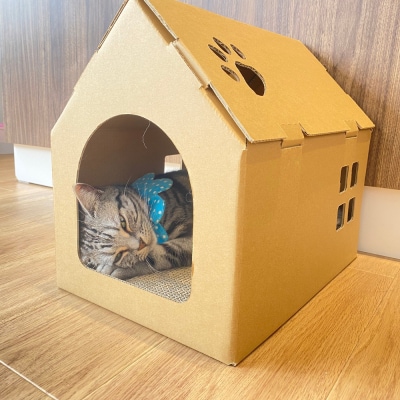 【クラフト地】キャッツプレイハウス&専用つめとぎ10枚セット