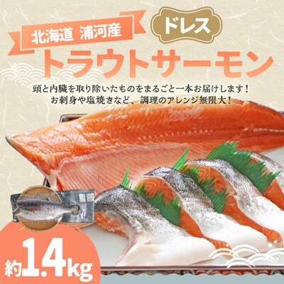 北海道浦河町産『トラウトサーモン』のドレス1本(約1.4kg)[02-1511]