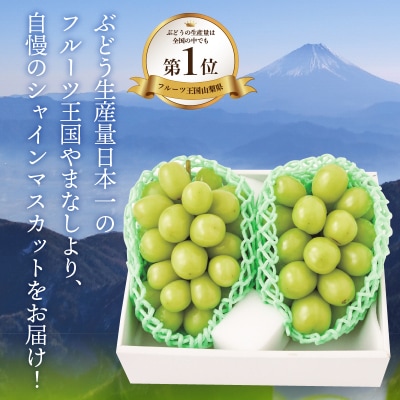 〈2026年度配送分〉山梨県産 シャインマスカット 2房(1.0kg以上)