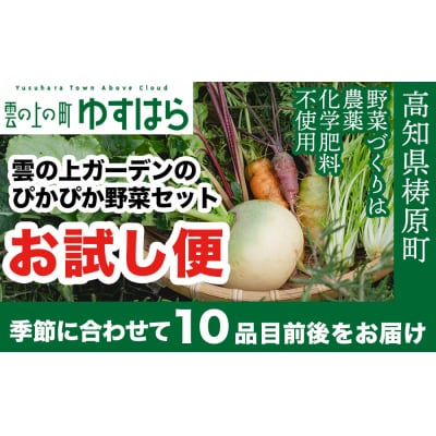 農薬化学肥料不使用 雲の上ガーデンのぴかぴか野菜セット【お試し便】