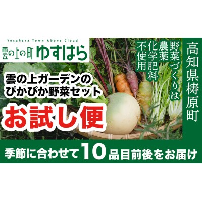 農薬化学肥料不使用 雲の上ガーデンのぴかぴか野菜セット【お試し便】
