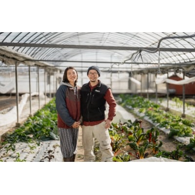 農薬化学肥料不使用 雲の上ガーデンのぴかぴか野菜セット【お試し便】
