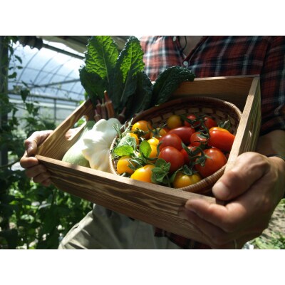 農薬化学肥料不使用 雲の上ガーデンのぴかぴか野菜セット【お試し便】