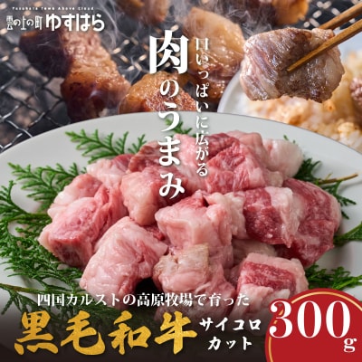 低温でも脂身がとろけるゆすはら牛サイコロカット 300g