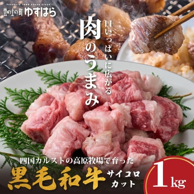 低温でも脂身がとろけるゆすはら牛サイコロカット 1kg