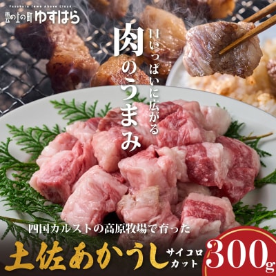 低温でも脂身がとろける土佐あかうしサイコロカット 300g