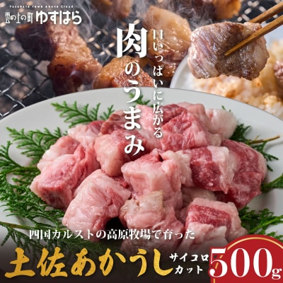 低温でも脂身がとろける土佐あかうしサイコロカット 500g