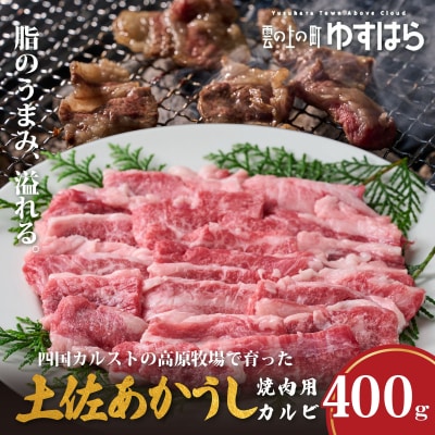 低温でも脂身がとろける土佐あかうし焼肉用カルビ　400g