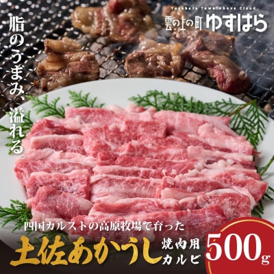 低温でも脂身がとろける土佐あかうし焼肉用カルビ　500g