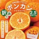 【訳あり】人気の柑橘室戸産ポンカン2.5kg