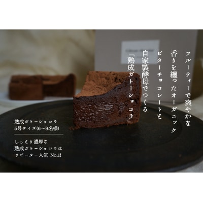 熟成ガトーショコラ【たねのおやつ】_HA1675