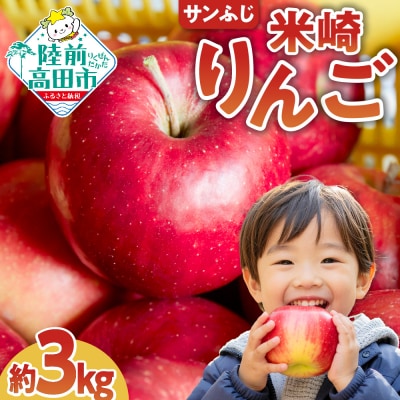 先行受付 米崎りんご3kg 品種 サンふじ 数量限定【 旬 リンゴ フルーツ 産地直送 家庭用 】