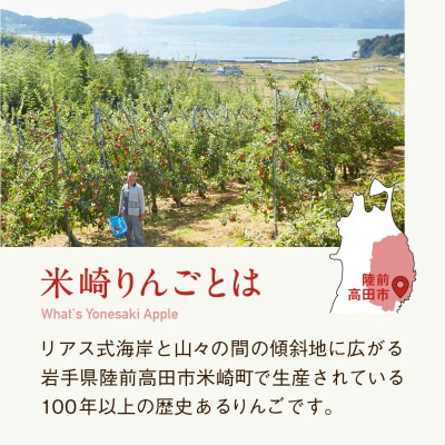 先行受付 米崎りんご3kg 品種 サンふじ 数量限定【 旬 リンゴ フルーツ 産地直送 家庭用 】