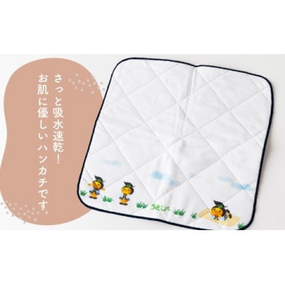 【限定品】パシーマのハンカチ うきぴー 3枚セット U051-1CP-DNTO