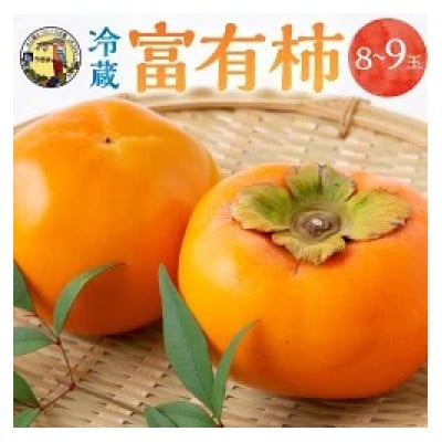 冷蔵富有柿 8～9玉 U064-2KA-RF02